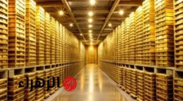 3730 جنيها للجرام.. سعر الذهب عيار 21 يسجل رقما قياسيا في مصر